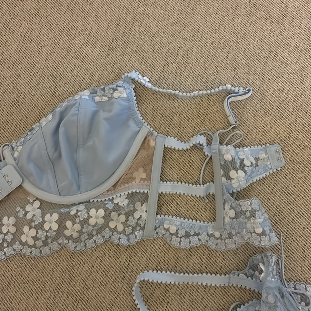 Never Worn Love and Lemons Corset Style Set - Picture 4 of 4